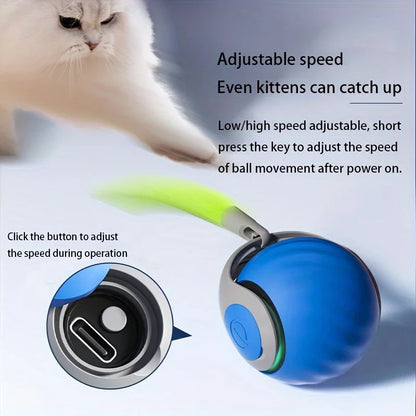 HelpfulPaws Smart Self-Rolling Cat Ball